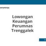 Lowongan Keuangan Perumnas Trenggalek