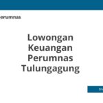 Lowongan Keuangan Perumnas Tulungagung